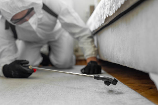 Professional Termite Control technician working in Bishop, TX