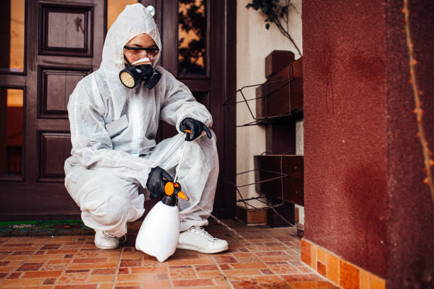 Reliable Termite Control contractor in Bishop, TX by Nex Pest Control